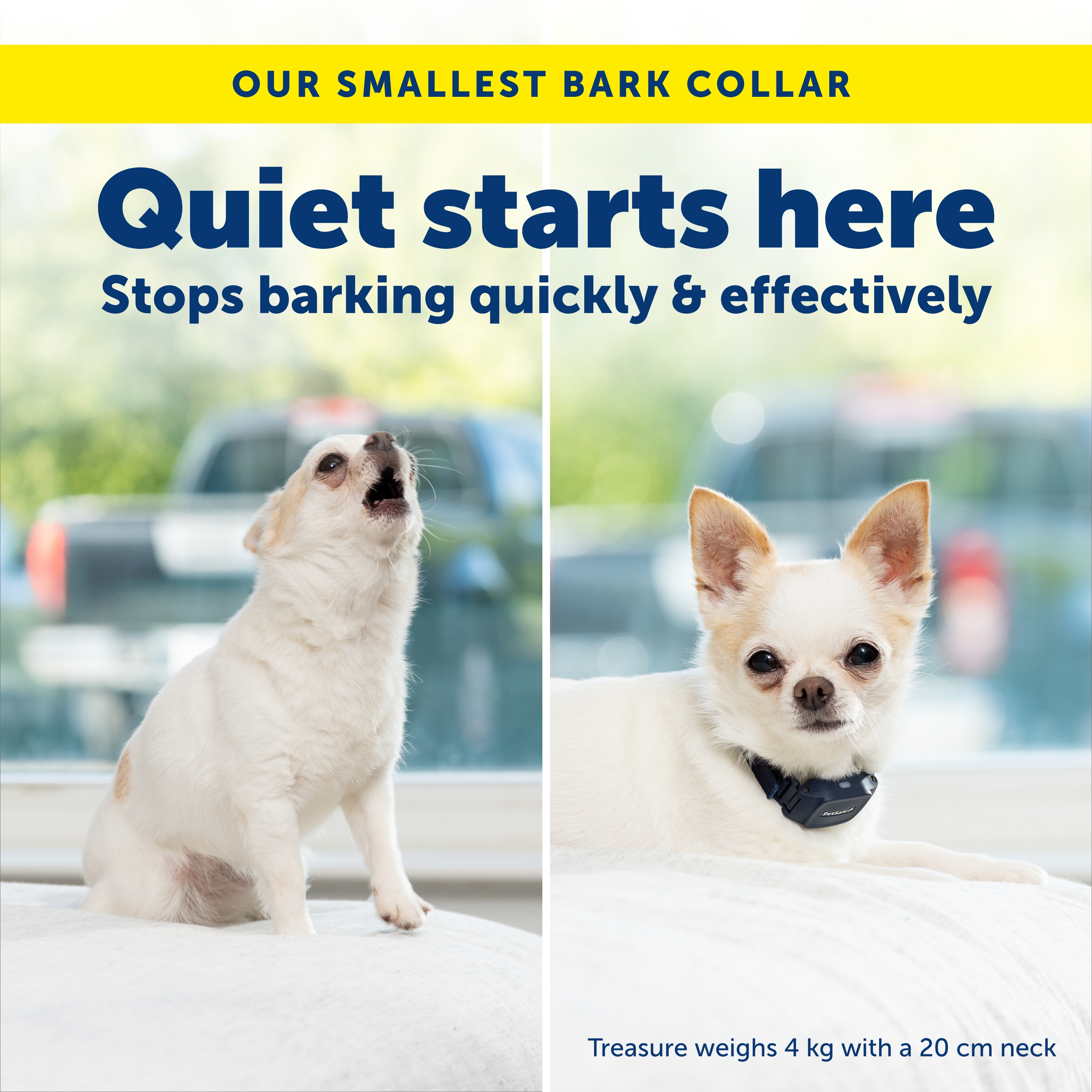 PetSafe NanoBark 2.0 Anti-Blafband